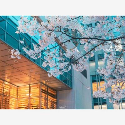 皇冠官网app下载安装截图