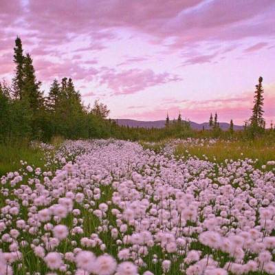 中欧·体育(KOK)中国官方网站